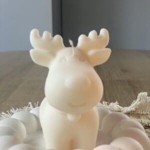 Rudolf - obrazek 2