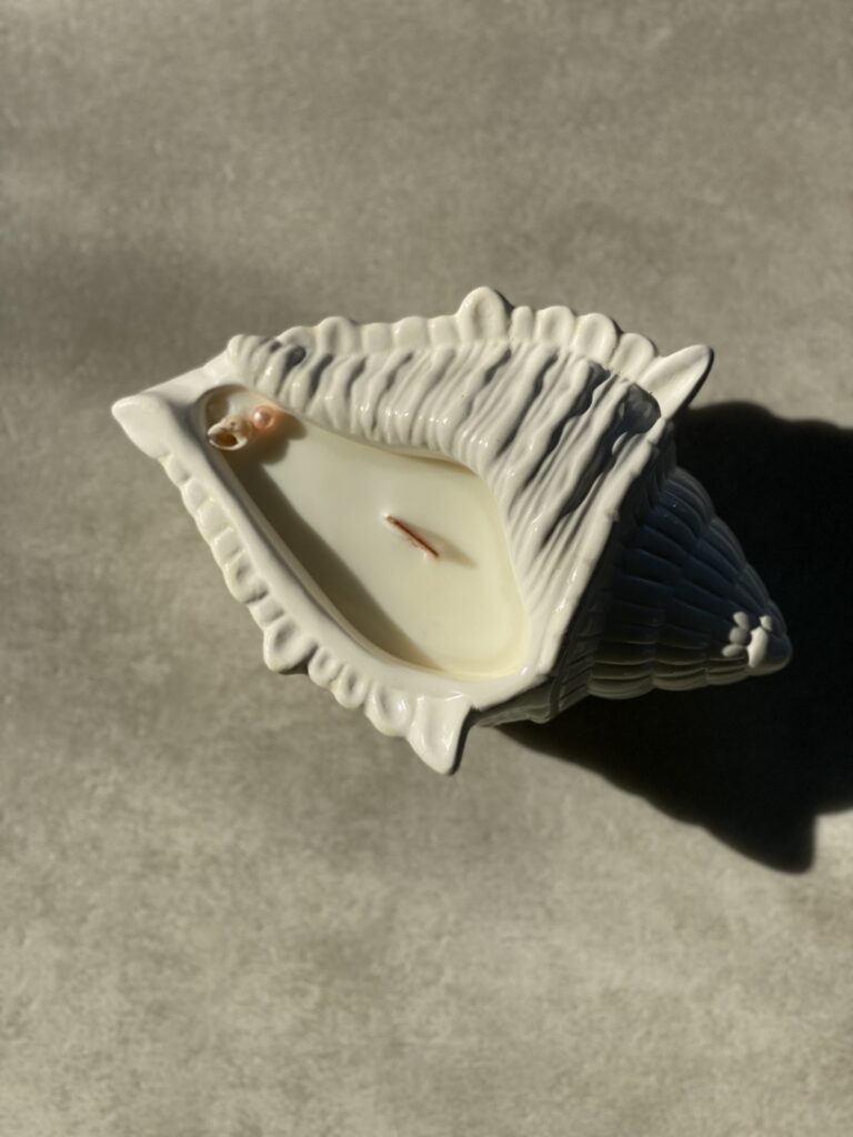 muszelka wz&oacute;r1